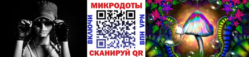 Купить где  Северская  Галлюциногенные грибы Psilocybine cubensis 